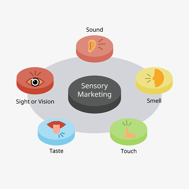 Sensory marketing and five senses concept